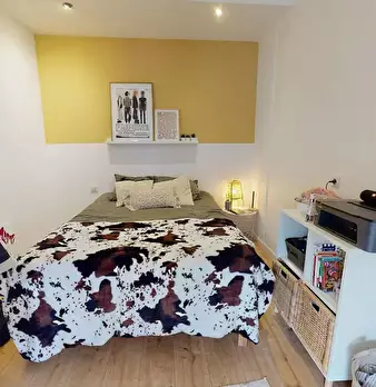 Foto annuncio 3