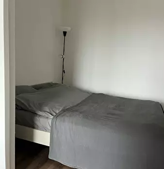 Foto annuncio 5