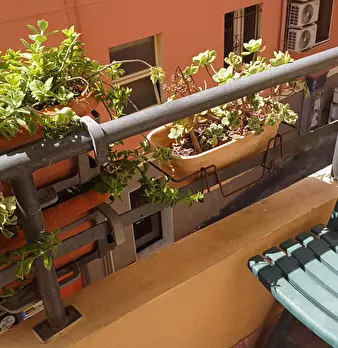 Foto annuncio 8