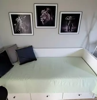 Foto annuncio 5