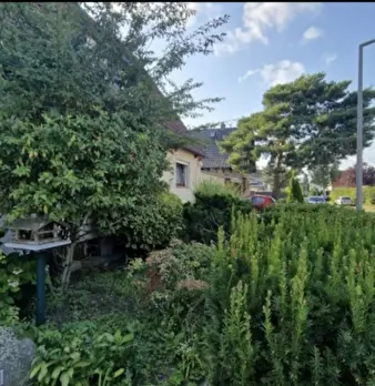 Foto annuncio 1