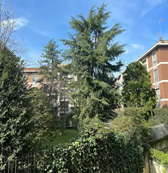 Foto annuncio 7