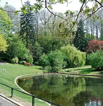 Foto annuncio 10