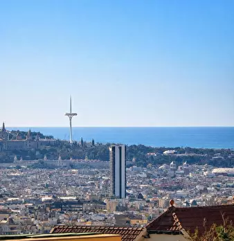 Foto annuncio 6