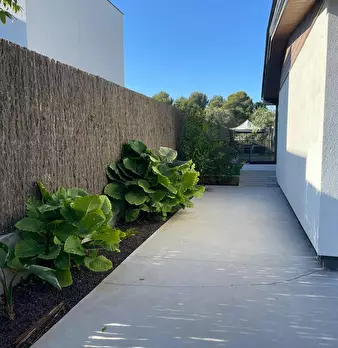 Foto annuncio 8