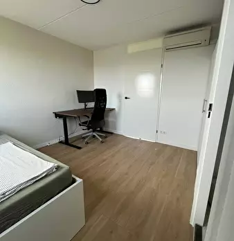 Foto annuncio 7