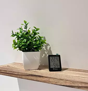 Foto annuncio 10
