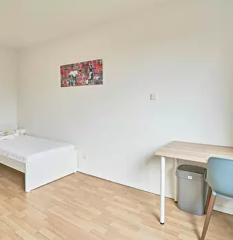 Foto annuncio 1
