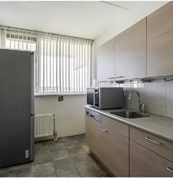 Foto annuncio 7