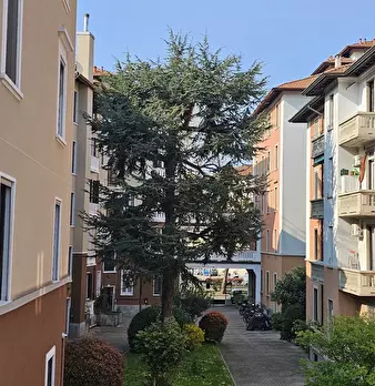 Foto annuncio 1