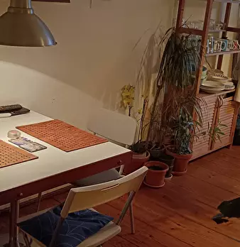 Foto annuncio 6
