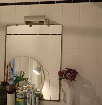 Foto annuncio 9