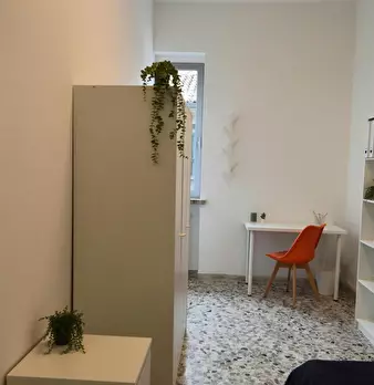 Foto annuncio 5