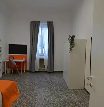 Foto annuncio 5