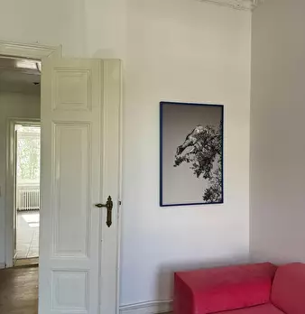 Foto annuncio 7
