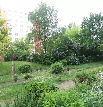 Foto annuncio 3
