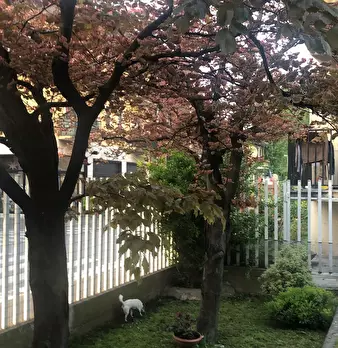 Foto annuncio 2