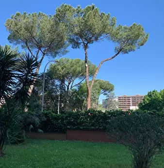 Foto annuncio 4