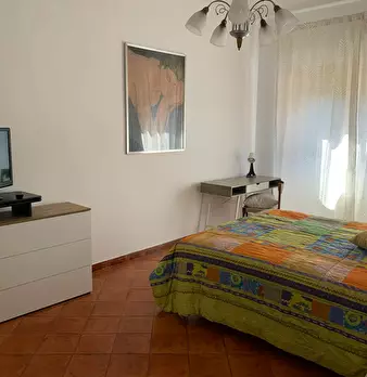 Foto annuncio 9
