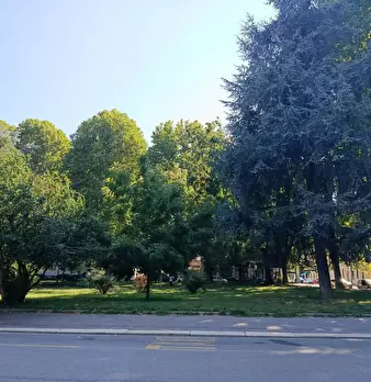 Foto annuncio 7