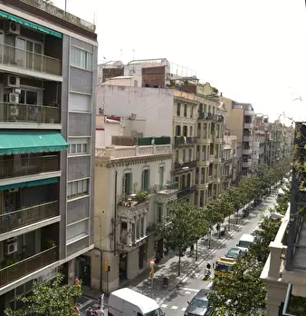 Foto annuncio 10