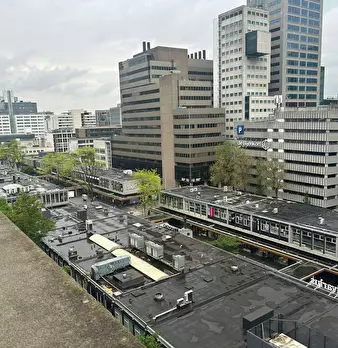 Foto annuncio 10