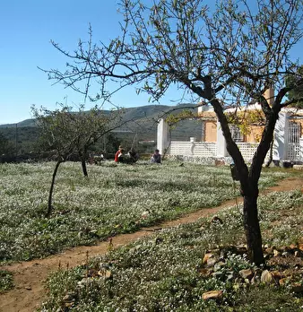 Foto annuncio 3