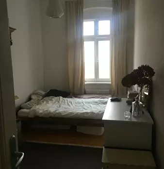 Foto annuncio 7