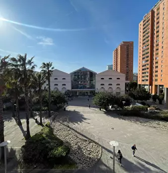 Foto annuncio 6
