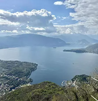 Foto annuncio 9