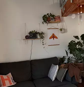 Foto annuncio 3