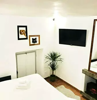 Foto annuncio 10