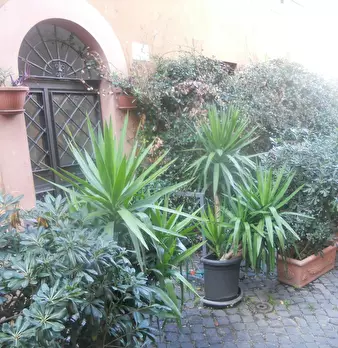 Foto annuncio 2
