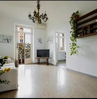 Foto annuncio 7