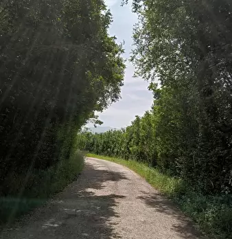 Foto annuncio 7