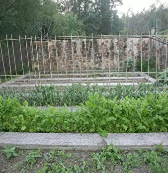 Foto annuncio 3