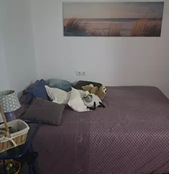 Foto annuncio 7