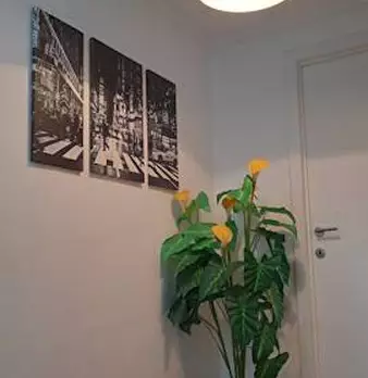 Foto annuncio 4