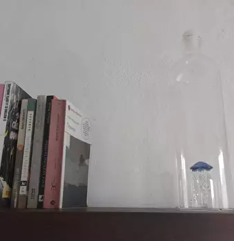 Foto annuncio 5