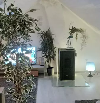 Foto annuncio 6