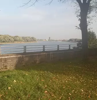 Foto annuncio 10