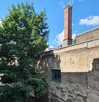 Foto annuncio 10