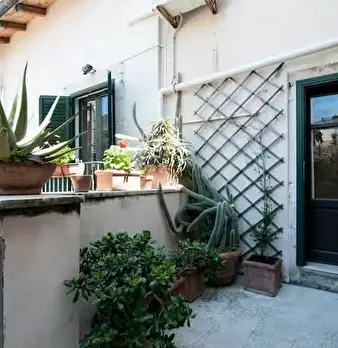 Foto annuncio 5