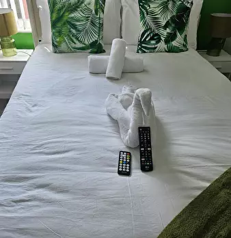 Foto annuncio 9