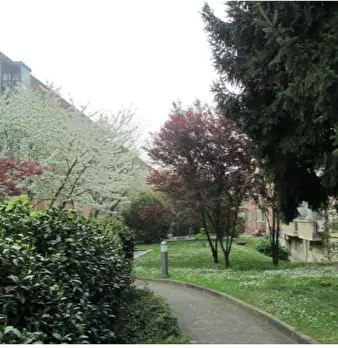Foto annuncio 6