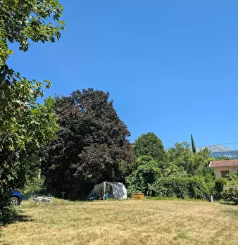 Foto annuncio 8