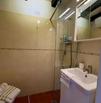 Foto annuncio 9