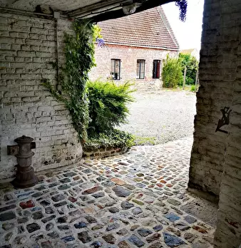 Foto annuncio 9