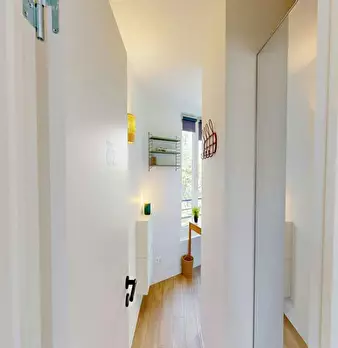 Foto annuncio 5