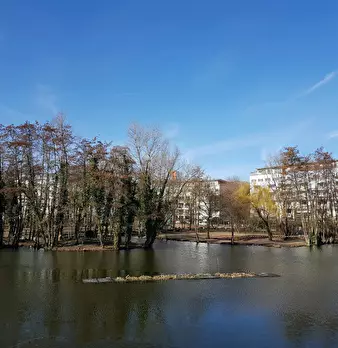 Foto annuncio 9